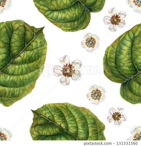White blooming flowers, green kiwi leaves on a seamless pattern on a white background. Spring botanical template for home, children's, kitchen textiles, wrapping, wallpapers, for drinks, food design White blooming flowers, green kiwi leaves on a seamless pattern on a white background. Spring botanical template for home, children's, kitchen textiles, wrapping, wallpapers, for drinks, food design 131531560