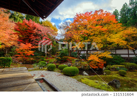 Autumn leaves in the Imperial Palace Garden at Sennyuji Temple 131531604