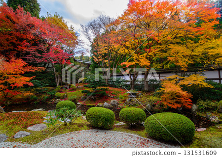 泉湧寺皇居花園的秋葉 131531609