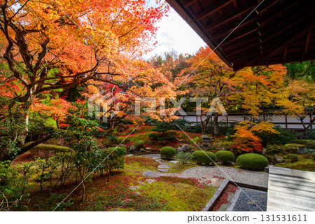 Autumn leaves in the Imperial Palace Garden at Sennyuji Temple 131531611