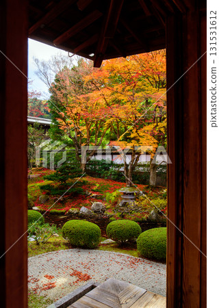 Autumn leaves in the Imperial Palace Garden at Sennyuji Temple Autumn leaves in the Imperial Palace Garden at Sennyuji Temple 131531612