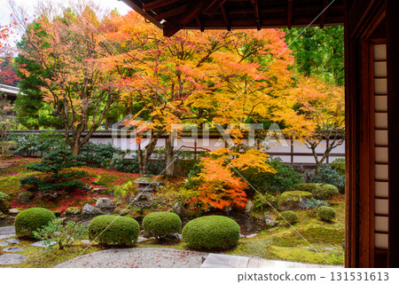 Autumn leaves in the Imperial Palace Garden at Sennyuji Temple Autumn leaves in the Imperial Palace Garden at Sennyuji Temple 131531613