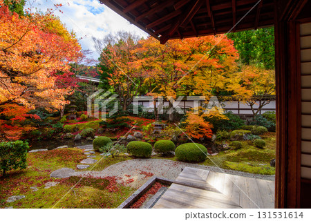 Autumn leaves in the Imperial Palace Garden at Sennyuji Temple 131531614