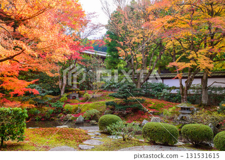 Autumn leaves in the Imperial Palace Garden at Sennyuji Temple 131531615