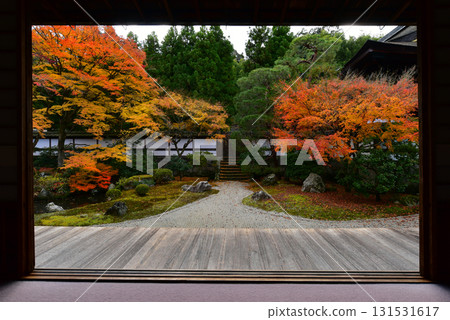 Autumn leaves in the Imperial Palace Garden at Sennyuji Temple Autumn leaves in the Imperial Palace Garden at Sennyuji Temple 131531617