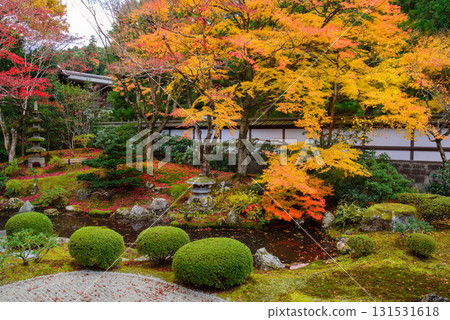 Autumn leaves in the Imperial Palace Garden at Sennyuji Temple Autumn leaves in the Imperial Palace Garden at Sennyuji Temple 131531618