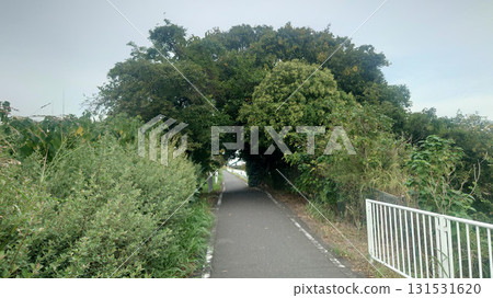 綠色隧道 綠色隧道 131531620