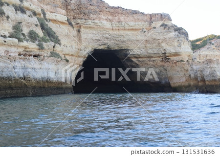 Sunlit Coastal Cliff in Algarve, Portugal 131531636