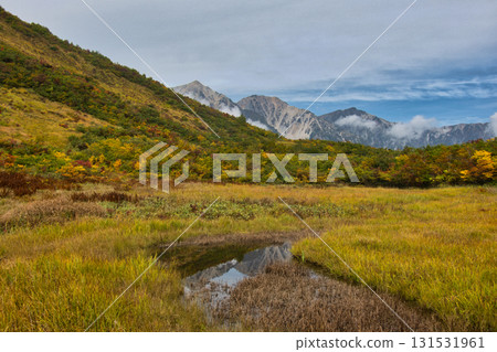 長野縣白馬村黑菱平釜池濕地和白馬三山的秋葉 131531961