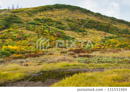 長野縣白馬村黑菱平釜池濕地的紅葉 131531984