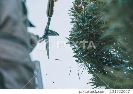 男人 男 男性 131532007