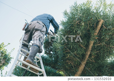 gardener, landscaper, male 131532010