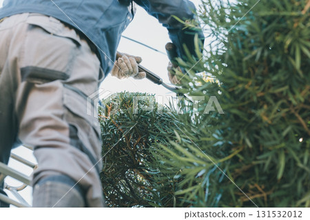 男人 男 男性 131532012