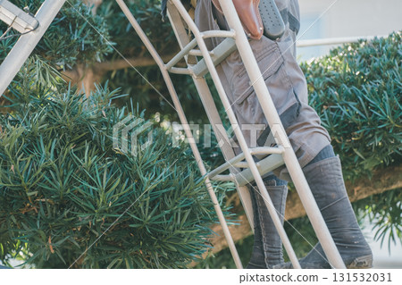 gardener, landscaper, garden 131532031