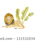 Hand-painted watercolor illustration of a majestic lion and banana tree in the background 131532034