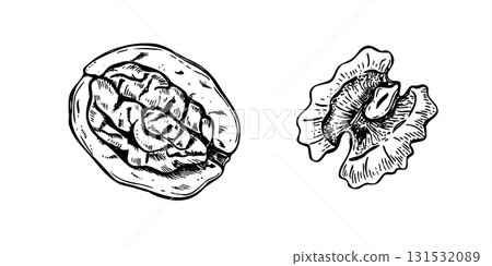 Walnuts monochrome vector set in graphic style. Peeled kernel and open nut in shell etching drawing. Healthy snack clip art painted by black inks for food packaging, autumn designs, culinary blogs Walnuts monochrome vector set in graphic style. Peeled kernel and open nut in shell etching drawing. Healthy snack clip art painted by black inks for food packaging, autumn designs, culinary blogs 131532089
