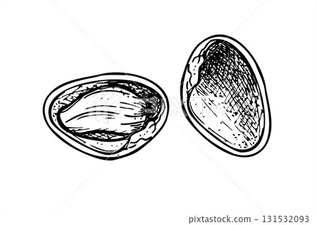 Cracked pistachio nut split into two halves monochrome vector isolated illustration. Empty shell and with kernel realistic graphic sketch. For food packaging, cookbooks, health blogs, website design 131532093