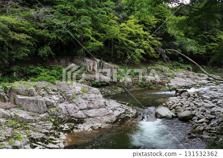 初夏的奧津溪谷風景 131532362