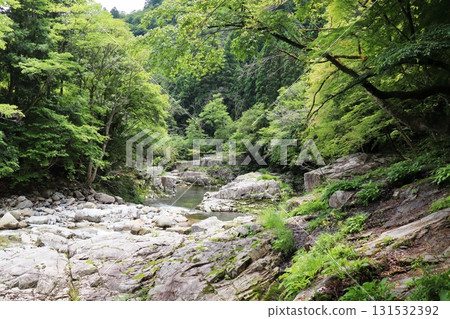 Scenery of Okutsu Valley in early summer Scenery of Okutsu Valley in early summer 131532392