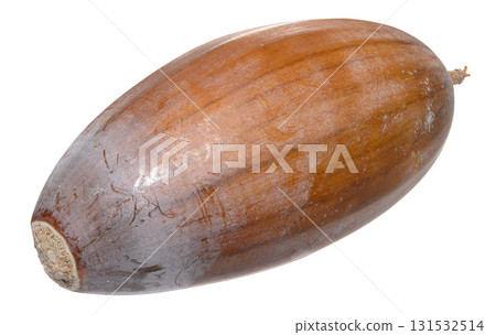 A large, ripe acorn without a cup. The surface is brown and smooth. A large, ripe acorn without a cup. The surface is brown and smooth. 131532514