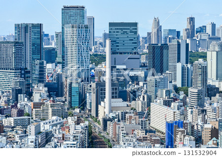 東京都市風景 131532904