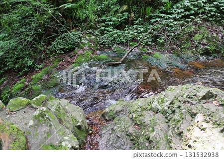The mossy stream of Yokono Falls The mossy stream of Yokono Falls 131532938