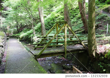 A wooden bridge over the mossy stream at Yokono Falls 131532939