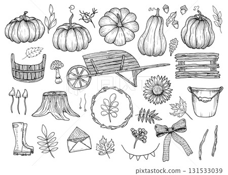 Collection of autumn themed elements. Vector illustrations of wooden objects, vegetables, berries and flowers. Hand drawn black graphics. Outline drawings for agricultural designs. Thanksgiving. 131533039