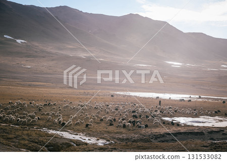 Sheep pasture in Tibet China Sheep pasture in Tibet China 131533082