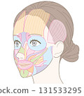 從斜角度看的臉部肌肉（未命名） 131533295