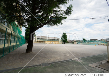 The school building and grounds with a lone cedar tree The school building and grounds with a lone cedar tree 131534018