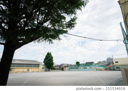 The school building and grounds with a lone cedar tree The school building and grounds with a lone cedar tree 131534019