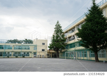 學校建築和庭院裡有一棵孤獨的雪松樹 131534020