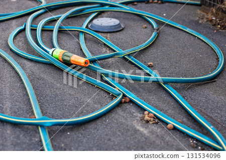 A large collection of garden hoses is currently laying on the ground 131534096