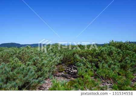 View from Tsutsujigahara Nature Trail 131534558