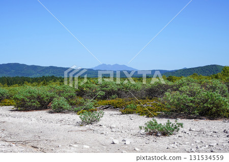 杜鵑花原自然步道的景色 131534559