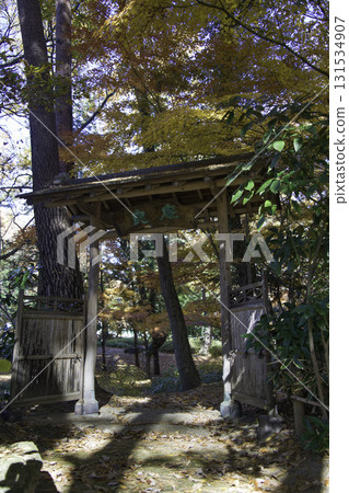 Japanese garden and autumn leaves 131534907