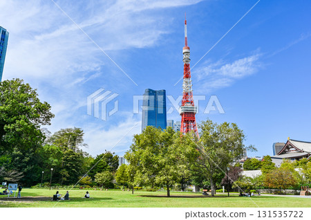 View from Shiba Park in Tokyo 131535722