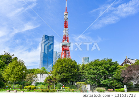 View from Shiba Park in Tokyo View from Shiba Park in Tokyo 131535728