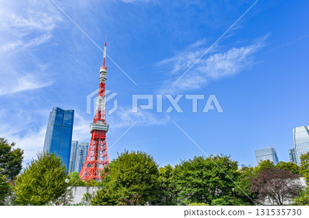 View from Shiba Park in Tokyo 131535730
