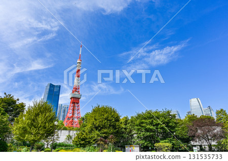 View from Shiba Park in Tokyo 131535733
