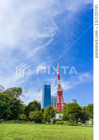 View from Shiba Park in Tokyo 131535745