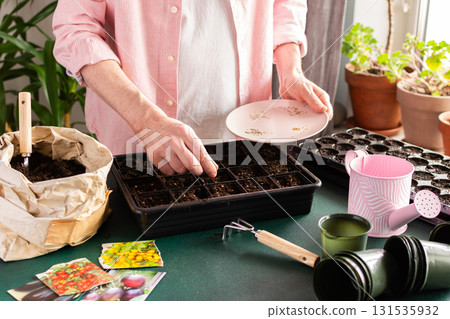 A man sows tomato seeds into a seed tray at home, surrounded by gardening tools and seed packets. He is engaged in spring garden preparation, nurturing plants from seed stage 131535932