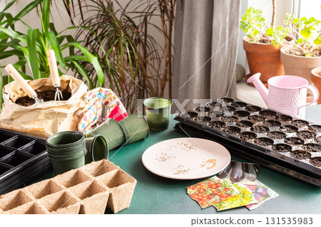 Preparation for spring work in the garden, planting tomato seeds on seedlings at home, wooden table with peat eco friendly pots and plastic containers for seedlings, tomato seeds 131535983