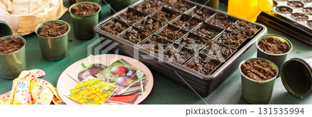 Starting tomato seeds indoors involves filling pots with soil, arranging containers, and organizing tools for a successful planting experience at home, banner Starting tomato seeds indoors involves filling pots with soil, arranging containers, and organizing tools for a successful planting experience at home, banner 131535994