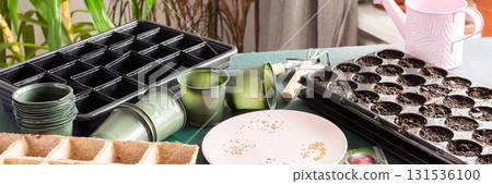 Garden enthusiast prepares to plant tomato seeds in seedling trays at home, surrounded by gardening supplies and sunlight streaming through the window, banner Garden enthusiast prepares to plant tomato seeds in seedling trays at home, surrounded by gardening supplies and sunlight streaming through the window, banner 131536100