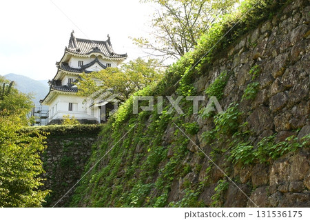 Uwajima Castle Uwajima Castle 131536175