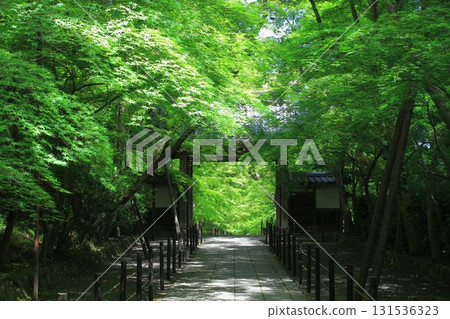 Komyo-ji Temple, Nagaokakyo City, Kyoto Prefecture 131536323