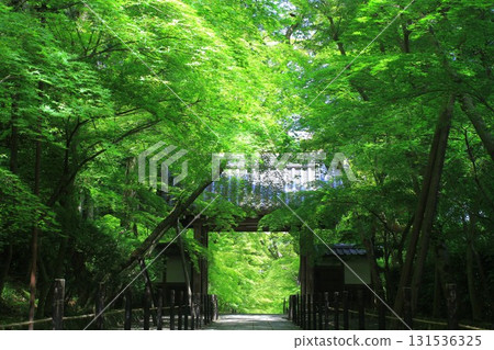 京都府長岡京市光明寺 131536325