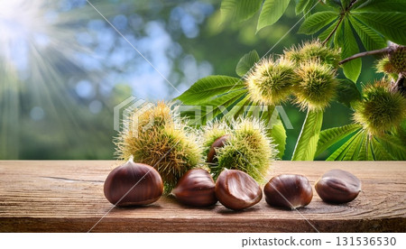 chestnuts on wood table in background 131536530